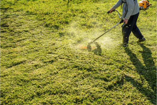 Servicios de chapea para airbnb