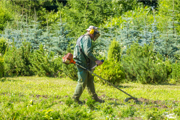 servicios de chapea de terrenos en Limón